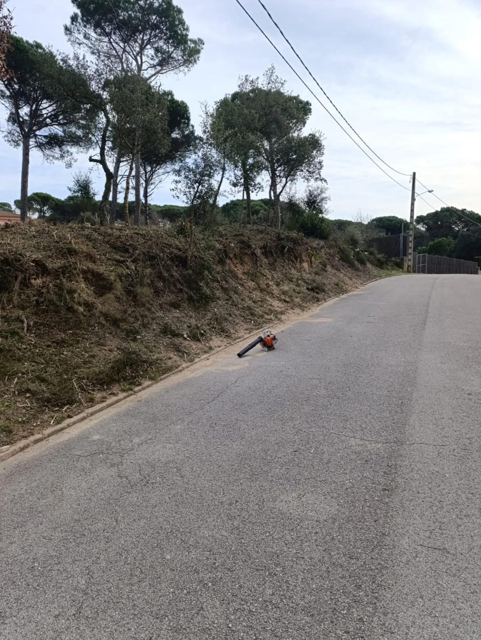 Després: parcel·la neta després del desbrossament