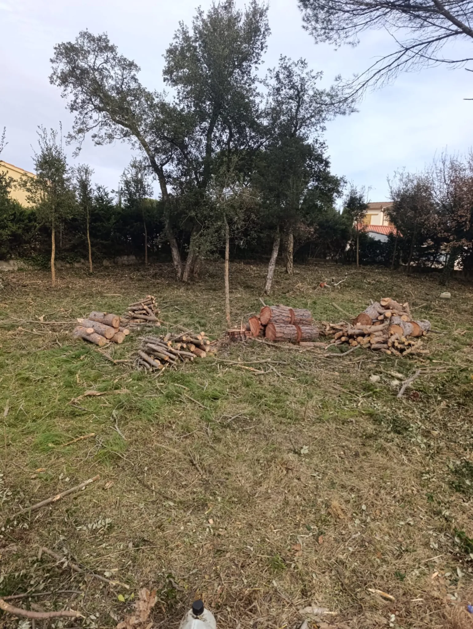 Separació de copes d’arbres després del treball de neteja segons criteri preventiu