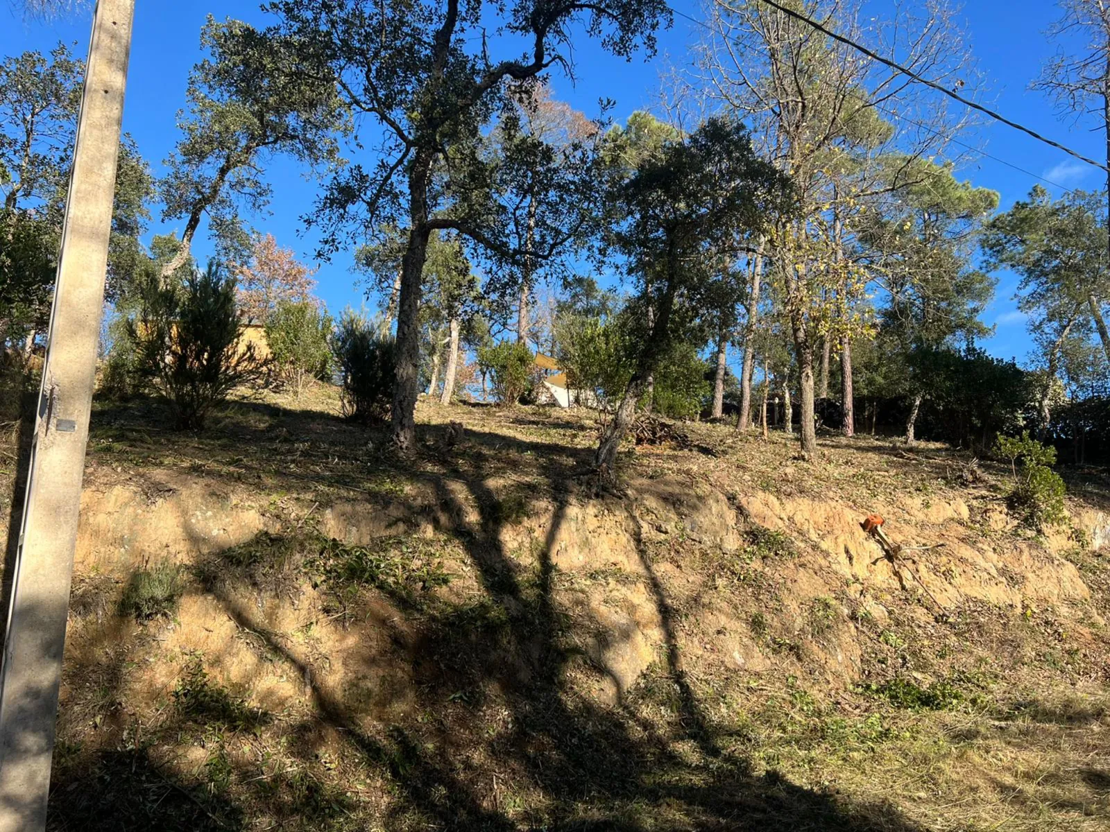 Resultat final després de la neteja