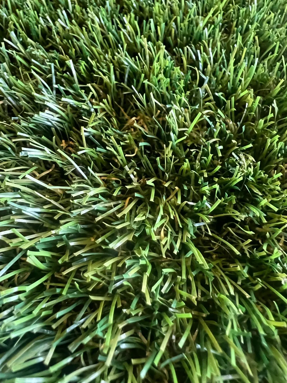 Gespa artificial 38 mm reforçada — model Resist 04