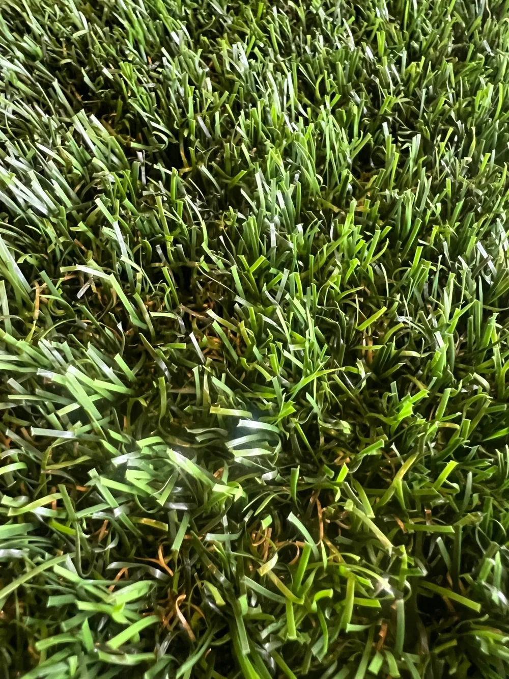 Gespa artificial 37 mm suau i polivalent — model Soft 03