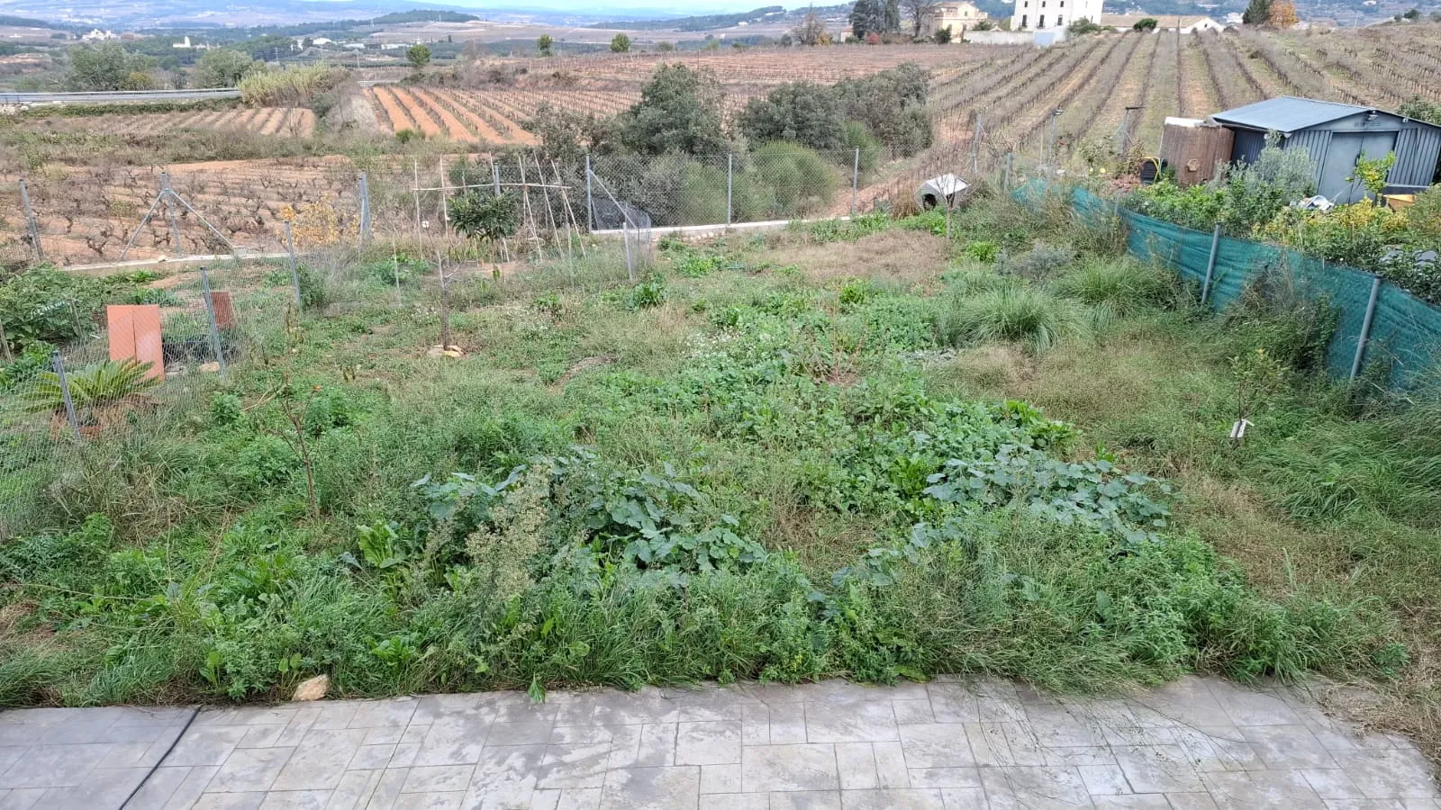 Abans (desembre 2025): jardí abans de la instal·lació de gespa artificial, amb terreny vell i irregular