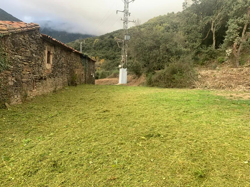 Neteja de parcel·les, desbrossa i poda professional